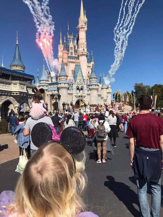 Walt Disney World Part 1: The Planning (for first-timers with 3 littles)